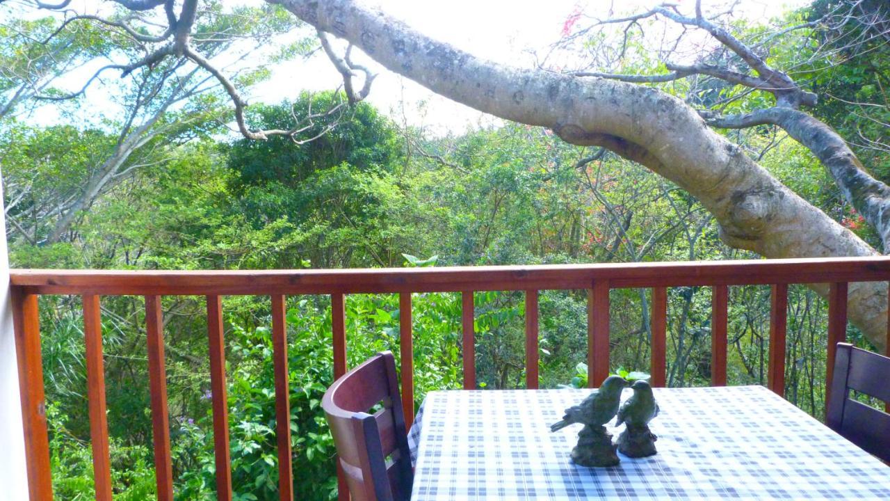 Royston Hall Historical Guesthouse Umtentweni 외부 사진